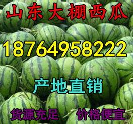 今日宿州收瓜行情,今日瓜价走势解析