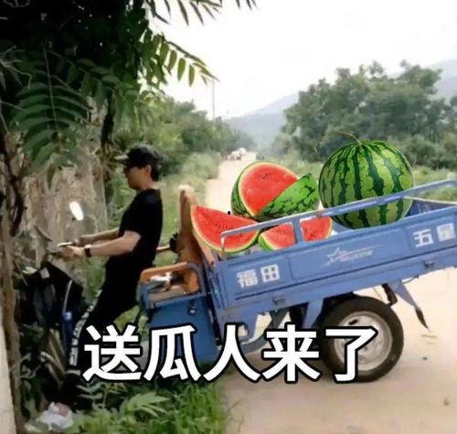 热门吃瓜文案怎么写,热点追踪，真相大白