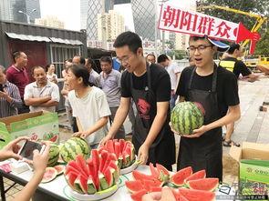 朝阳今日吃瓜新闻,今日热点事件大盘点