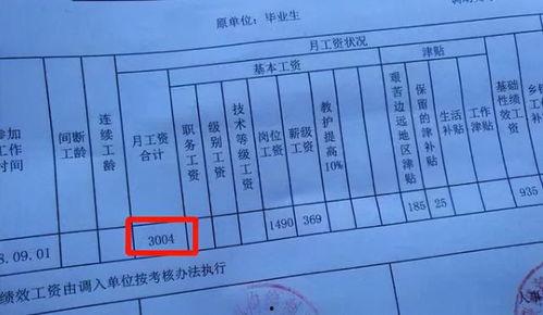 明星网红对比文案素材,揭秘两者间的时尚对决