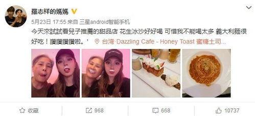 小猪明星网红视频合集,萌态百出，欢乐无限