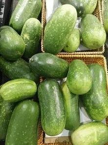 蔬菜蒲瓜今日行情,今日蔬菜市场新宠