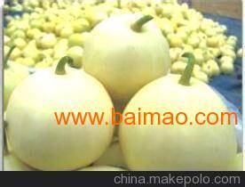 昆明小瓜今日行情,价格波动，市场供需分析