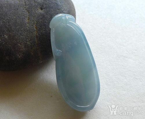 紫福瓜今日行情,价格波动与市场动态一览