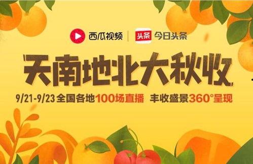 今日头条最新瓜,最新瓜震惊娱乐圈，揭秘幕后真相！