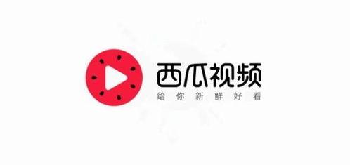 今日头条最新瓜,最新瓜震惊娱乐圈，揭秘幕后真相！