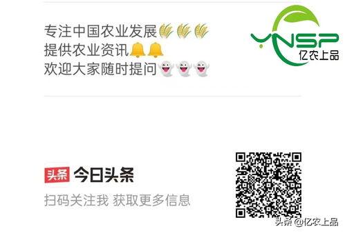 今日头条最新瓜,最新瓜震惊娱乐圈，揭秘幕后真相！
