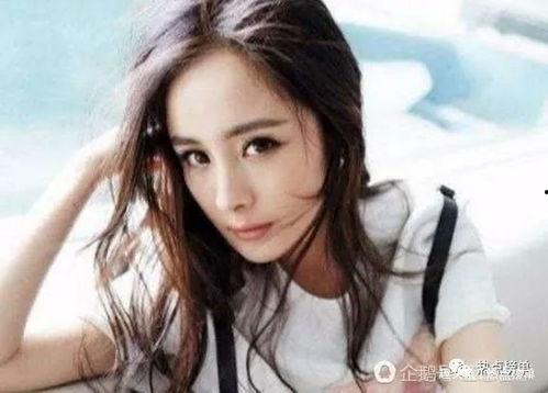 假唱明星网红排名,揭秘网络红人幕后真相