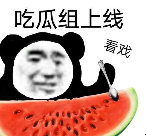 黑瓜吃料网怎么打开,轻松开启美食探索之旅