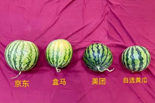 成都今日15个瓜,娱乐圈风云再起，揭秘幕后真相！
