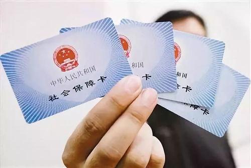 今日宜扭蛋瓜,揭秘扭蛋瓜的神奇魅力与趣味玩法