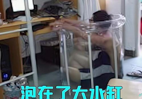 宿舍热瓜大热门事件,揭秘校园风云事件背后的真相