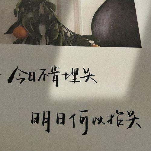 今日摘瓜文案句子,趣味盎然话瓜趣