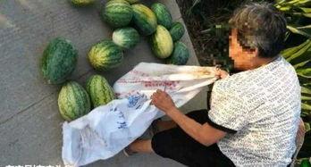 天水近期热门吃瓜事件,揭秘近期火爆吃瓜事件背后的真相
