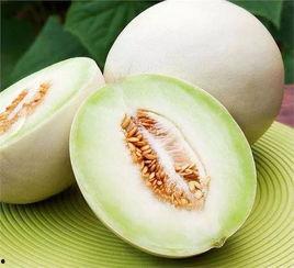 白兰瓜今日价格