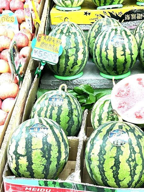 麒麟瓜今日价格山东,行情波动，市场动态一览”