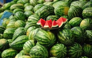今日大瓜在线观看,揭秘娱乐圈最新热点事件