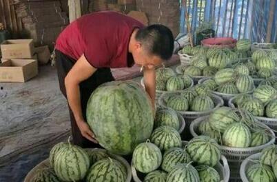汕尾近期热门吃瓜事件,近期热门吃瓜事件盘点，真相揭秘！