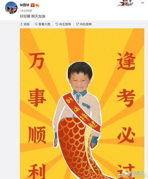 明星网红店翻车视频,明星效应下的食品安全危机
