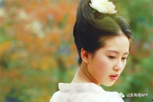 媒体明星网红视频大全,短视频时代下的璀璨星河