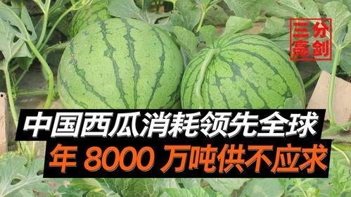 江苏吃瓜爆料是真的吗,真相揭秘还是无稽之谈？