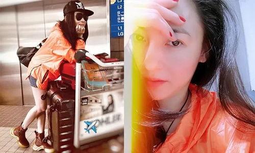 明星网红maxmara泰迪,网红界的时尚宠儿，潮流风向标