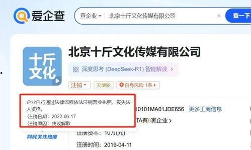 泡泡吃瓜网热门事件,揭秘近期热门事件背后的真相与争议