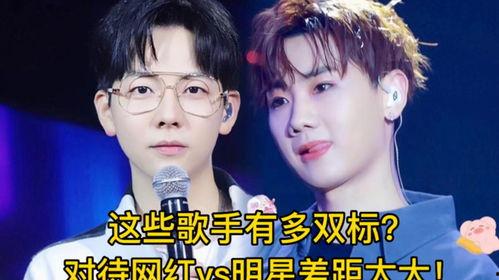 明星网红同台 双标,双标现象引发热议
