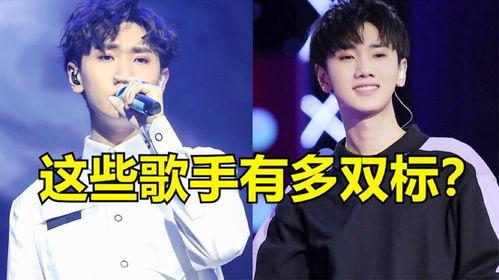 明星网红同台 双标,双标现象引发热议