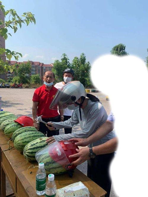 西昌今日吃瓜事件,一场网络热议背后的真相揭秘