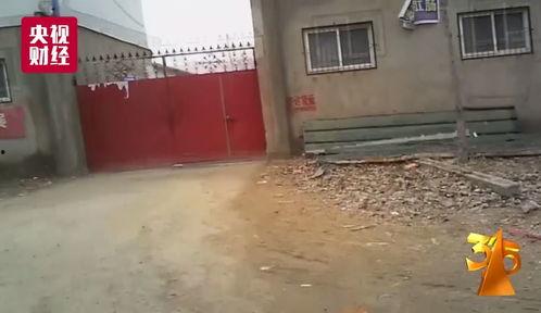 近期邯郸热门吃瓜事件,揭秘近期热门吃瓜事件背后的真相
