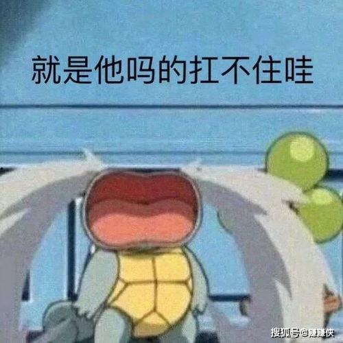 热门吃瓜表情包图片,热门表情包背后的网络文化现象