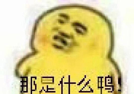 热门吃瓜表情包图片,热门表情包背后的网络文化现象