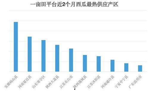 河南产区今日瓜价,丰硕果实，价格波动引关注