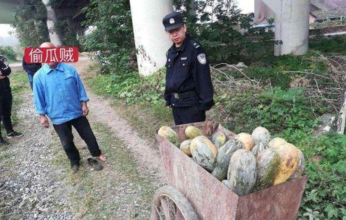 近期热门吃瓜事件南县,揭秘近期热门吃瓜事件背后的真相