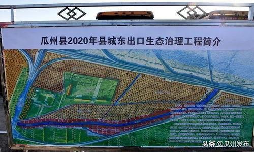 瓜州县今日猪价,市场行情实时分析