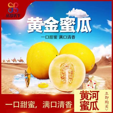 正宗黄河蜜瓜热门视频,甘甜如蜜，品味自然之美