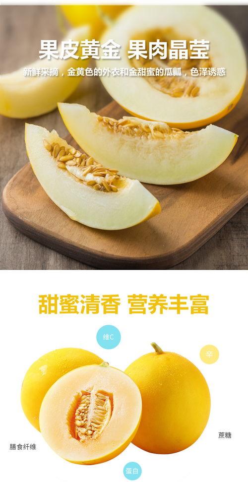 正宗黄河蜜瓜热门视频,甘甜如蜜，品味自然之美