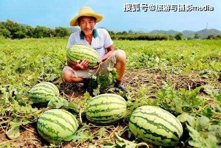 瓜农今日吃瓜 小说,一场别开生面的乡村奇遇