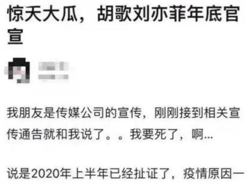 吃瓜爆料怎么发文案说说,吃瓜爆料背后的真相与幕后故事