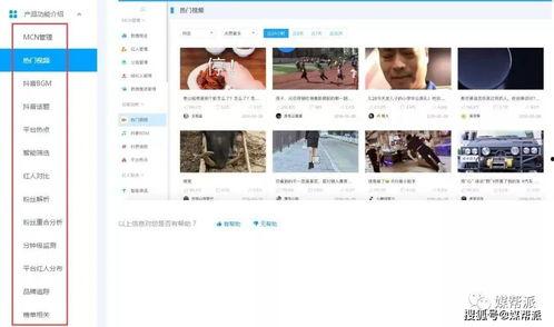 抖音热门魏县的瓜,魏县瓜背后的故事与真相