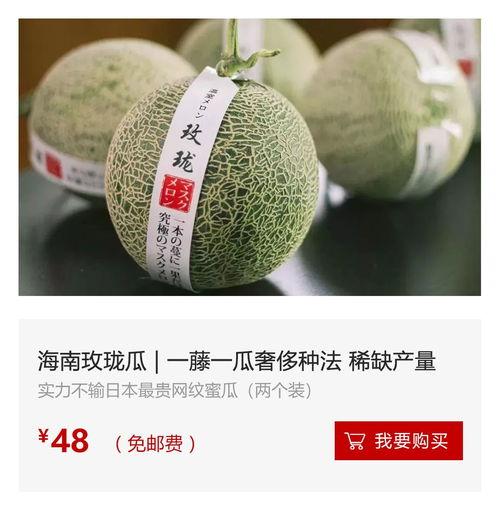 海南今日瓜价行情