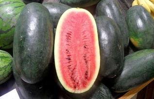 4.15黑料吃瓜网入口,独家入口带你一探究竟