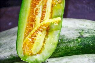 最新热门网红吃瓜,揭秘娱乐圈最新热点事件