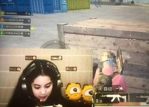 吃鸡明星网红id,盘点那些让人过目难忘的账号昵称