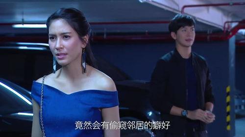 邻居明星网红在线观看,共享视听盛宴