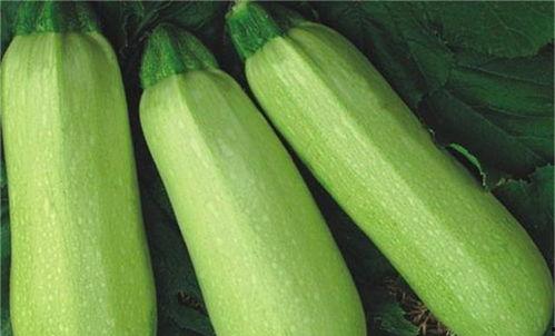 近期热门吃瓜事件广东