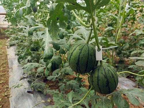 五一热门吃瓜事件,盘点年度最热网络事件