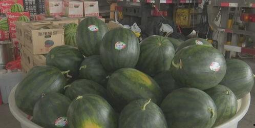 金乡近期热门吃瓜事件,揭秘近期热门吃瓜事件背后的真相