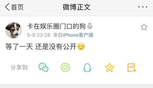 吃瓜爆料配乐叫什么歌名,揭秘“吃瓜爆料”背后的热门歌曲